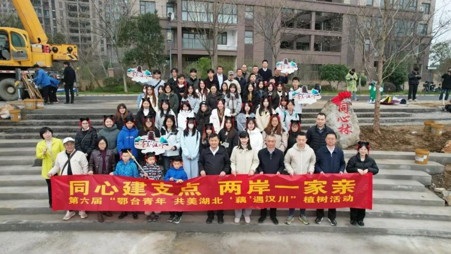 图片6.png