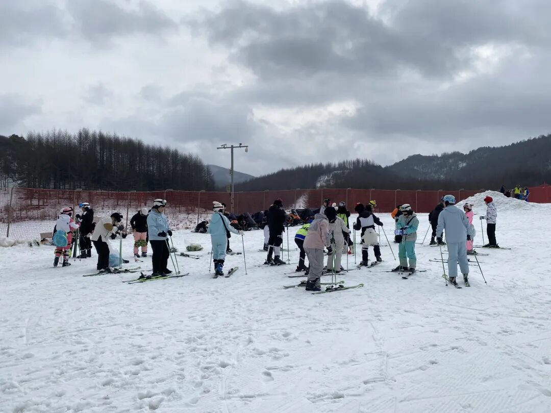 1766737416670013321.jpg 1766737416670013321.jpg