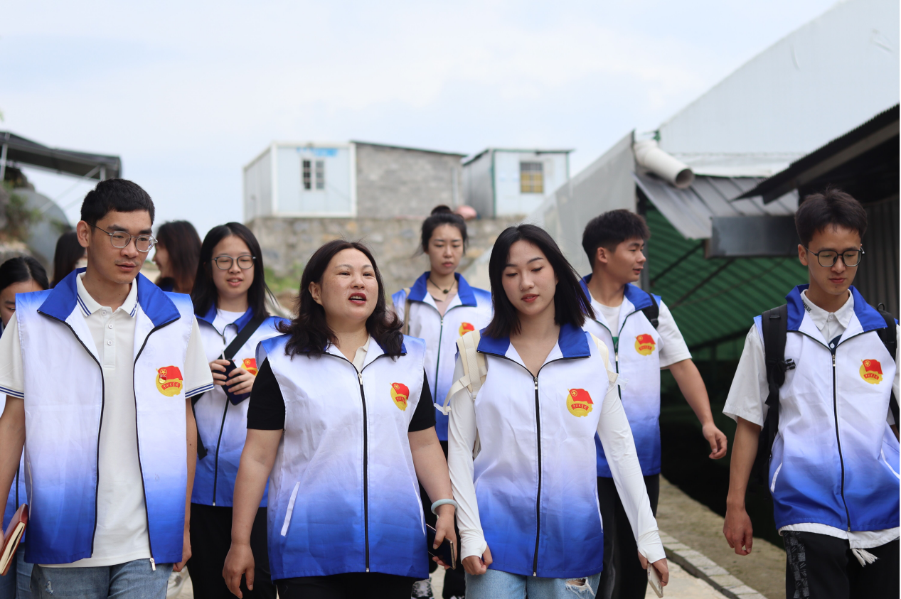 1775647655304026830.png 1775647655304026830.png